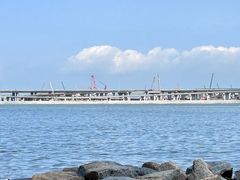 -宝安西湾红树林湿地公园