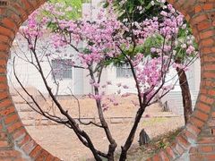 -山东艺术学院(长清校区)