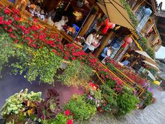 -民食香·腊排骨野生菌美食(木府店)