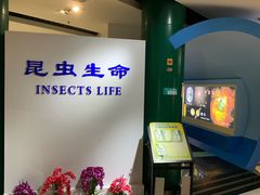 -上海昆虫博物馆