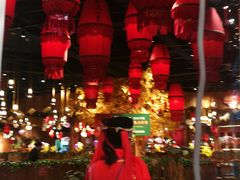 大堂-老滇山寨•云南特色菜•地方菜•民族风情歌舞表演(金碧店)