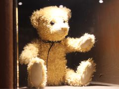 -济州岛泰迪熊博物馆