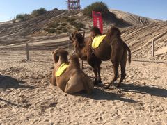 -库伦旗银沙湾旅游景区