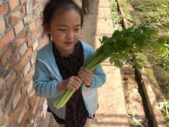 -万源龙顺度假庄园生态观光园