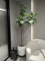 -颜蕾医美·黄金微针·水光·玻尿酸·超声炮·抗衰中心