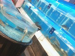 -眉州东坡(博雅店)