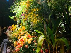 -春暖花开(西溪店)
