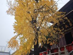 -宝通禅寺