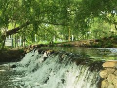 -长白岛森林公园