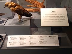 -四川大学博物馆