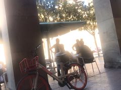 -皮拉尔圣母圣殿主教座堂