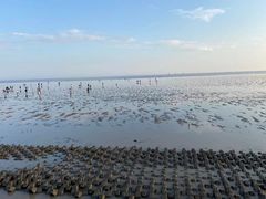 -碧海金沙