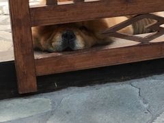 -看见远方·莫干遥远的山民宿