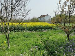 -广富林郊野公园