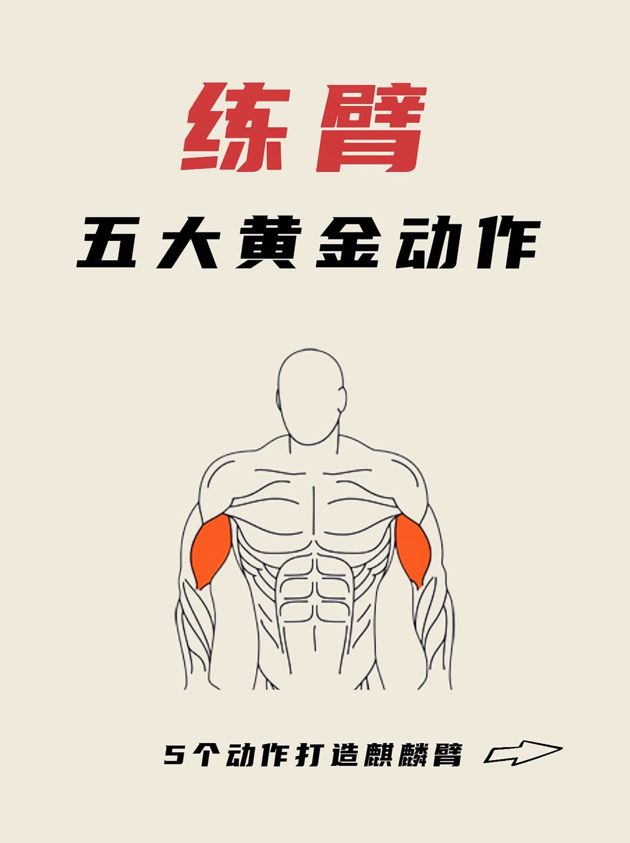 练臂五大黄金动作