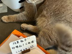 -MIMO CAFE(沙头角店)