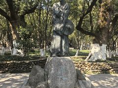 -八大山人梅湖景区