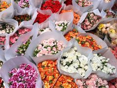 -循礼门鲜花花市(武汉循礼门店)