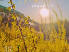 -西海岸生态观光园