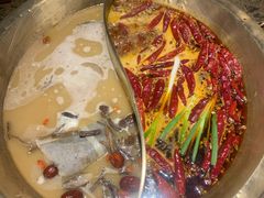 -小龙坎火锅(春熙太古里店)