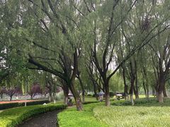 -昆山城市生态森林公园