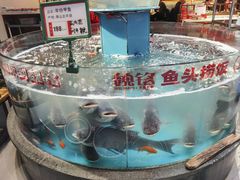 -魏铭鱼头捞饭(晋阳路店)