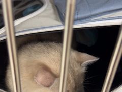 -美联众合动物医院·24h京西诊疗中心