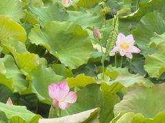 -丝绸小镇荻港古村