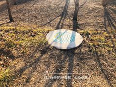 -莲花池公园