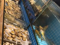 -鹿客臻鲜海鲜自助餐厅(永旺店)