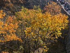 -慕田峪长城
