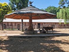 -石家庄市动物园