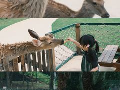 -达蓬山旅游度假区