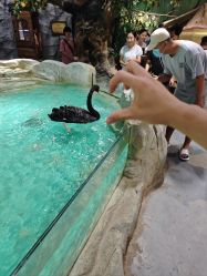 -Zoolung Zoolung动物主题公园(海信广场店)