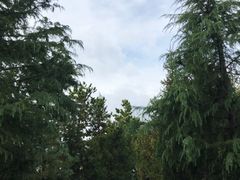 -哈利波特魔法世界