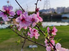 -九里河湿地公园