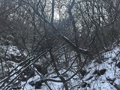 -嘉陵江源头景区