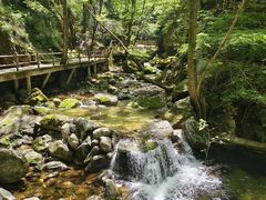 -牛背梁国家森林公园