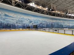 -世界之窗阿尔卑斯冰雪世界