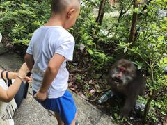 -西岭雪山大飞水景区