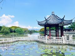 -江心屿景区