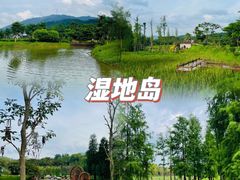 -森波拉奇妙世界