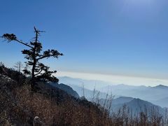 -朱雀国家森林公园
