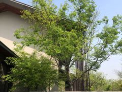 -木守西溪溪隐餐厅