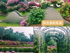 -莲花山公园