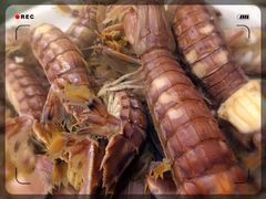-温州炎亭海鲜阁(万塘路店)