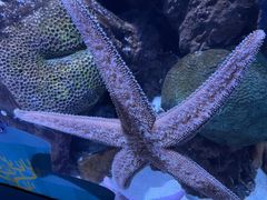 -香港海洋公园