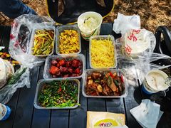 -合肥滨湖国家森林公园