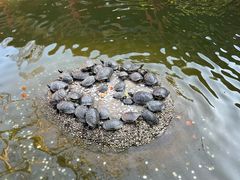-黔灵山公园
