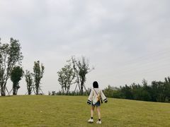 -白鹭湾湿地公园